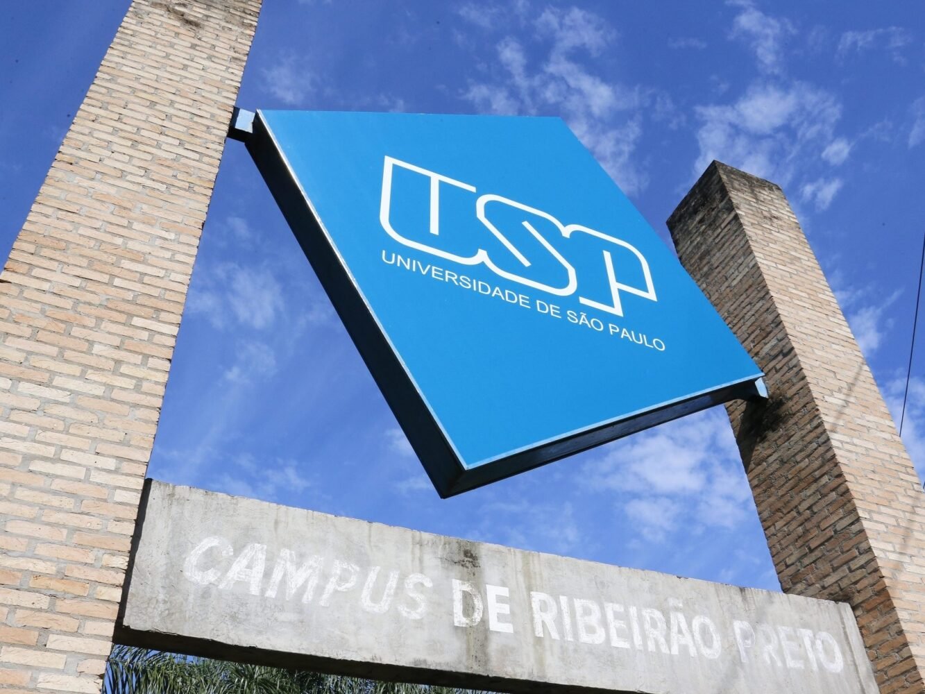 USP ABRE VAGAS EM OFICINA DE REDAÇÃO GRATUITA A DISTÂNCIA