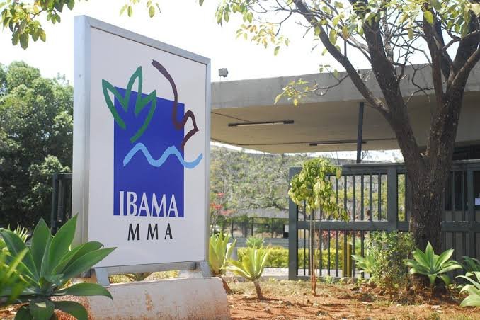 IBAMA E INCRA ABREM INSCRIÇÕES PARA SELEÇÃO COM SALÁRIOS DE ATÉ R$ 9,8 MIL