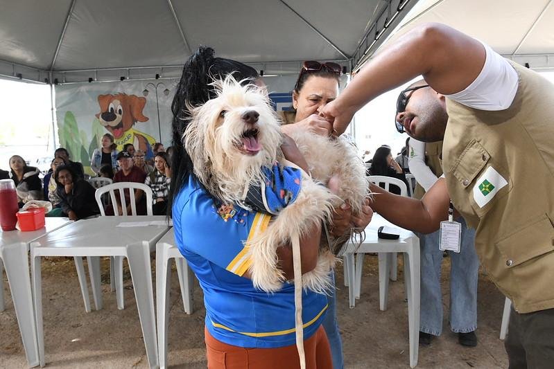 GDF MAIS PERTO DO CIDADÃO CHEGA AO RECANTO DAS EMAS NESTA SEXTA (A) E SÁBADO (31) COM SERVIÇOS GRATUITOS